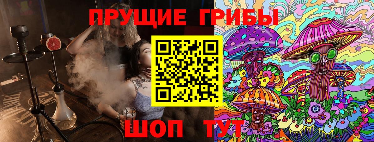 Псилоцибиновые грибы Psilocybe Ликино-Дулёво